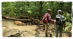 Coffee Routes resort thekkady