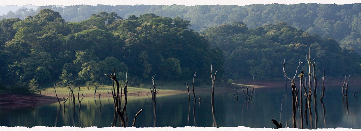 best Resorts in Thekkady