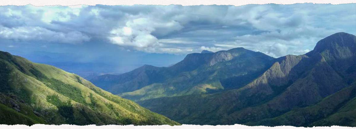 Coffee Routes Thekkady