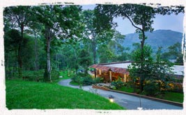  family stay in idukki 