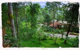  family stay in thekkady 