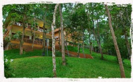 family resorts in kerala 