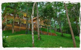  family resorts in kerala 