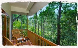  best family resorts in kerala 