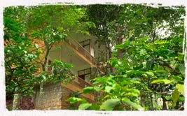  best family resorts in thekkady 