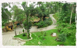  best resorts  in kerala 