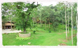  best resorts in idukki 