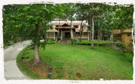  best resorts in thekkady 