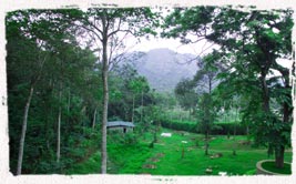  thekkady resorts 