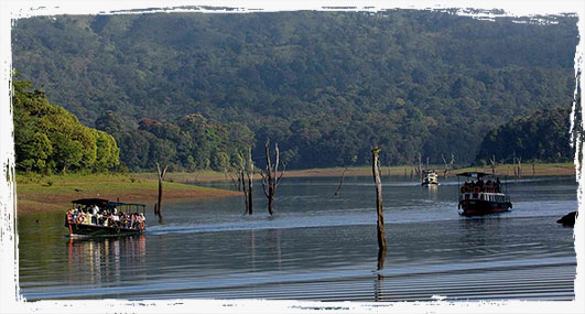 top resorts in thekkady
