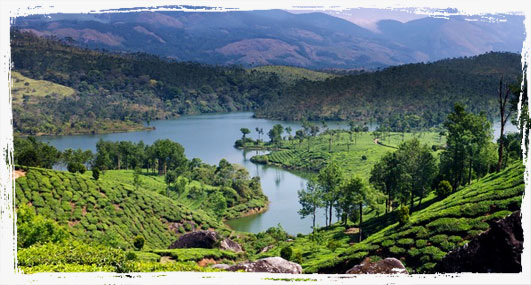 best resorts in thekkady